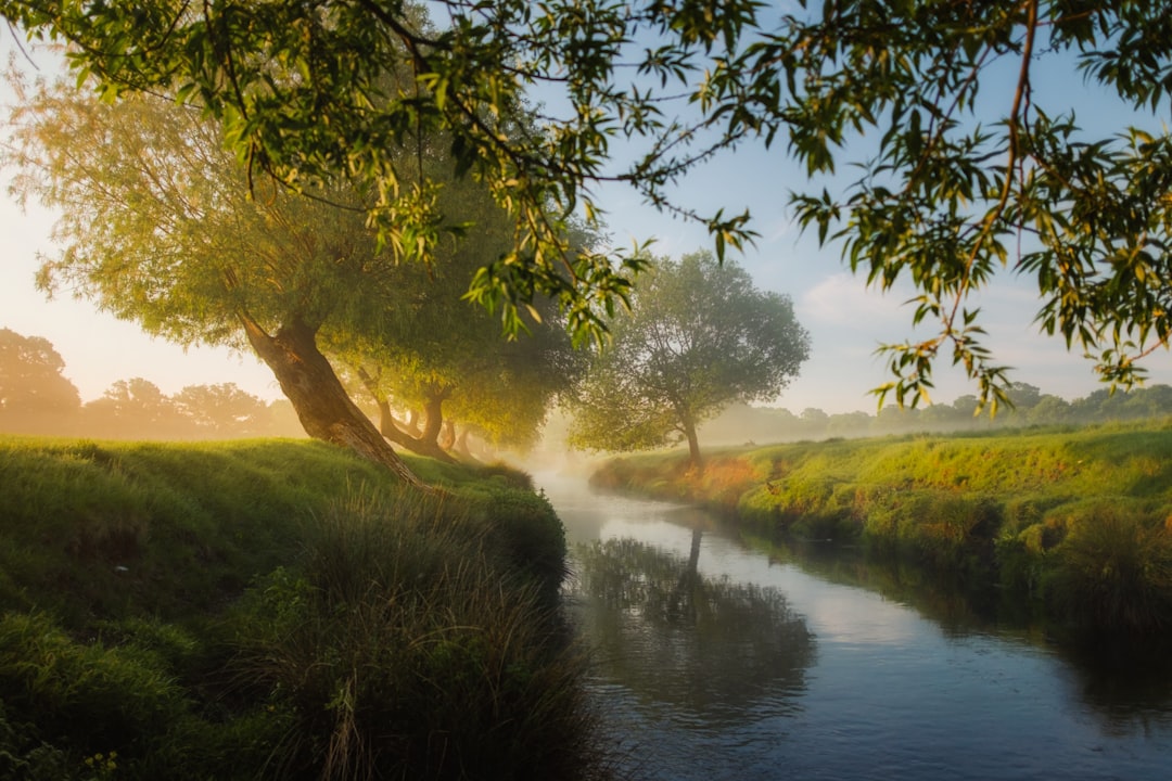 regali natura consapevole